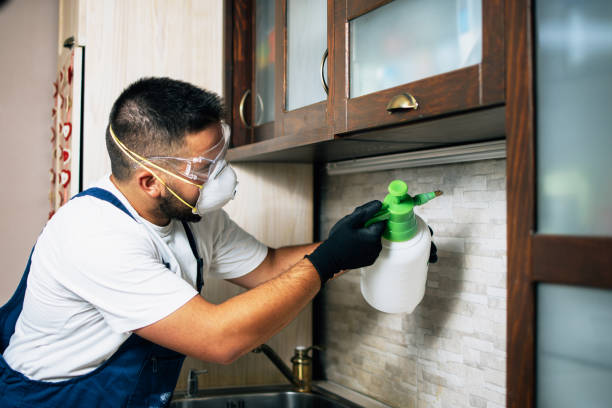 Best Emergency Pest Control  in Black Earth, WI
