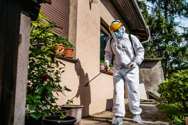 Best Best Pest Control Companies  in Black Earth, WI