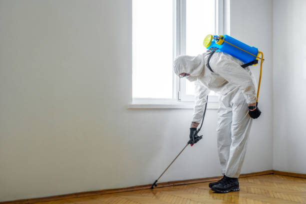 Best Flea Control Services  in Black Earth, WI