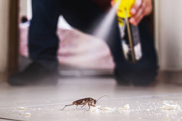Best Commercial Pest Control Services  in Black Earth, WI